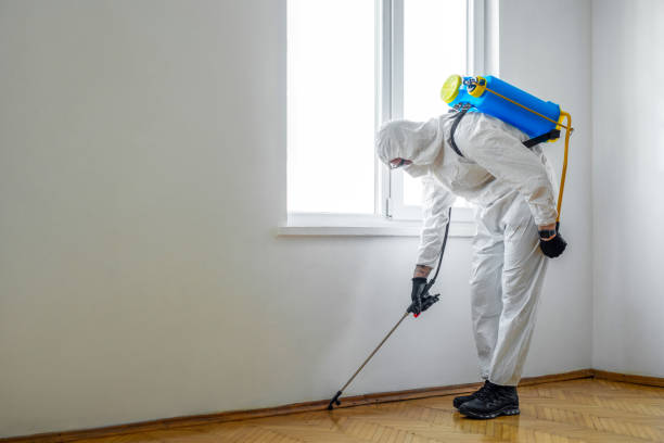 Emergency Pest Control in Larksville, PA